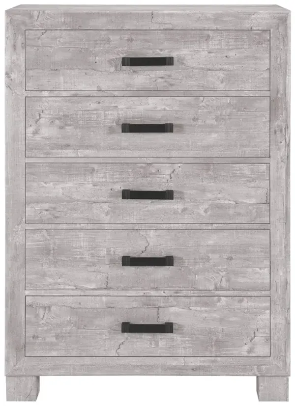 Rover - Chest - Gray