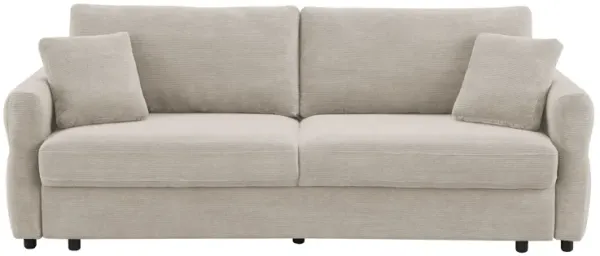 Haran - Pull Out Sleeper Sofa With Storage