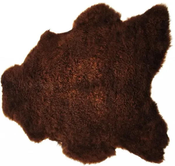 24" x 36" Calfskin Area Rug - Chocolate