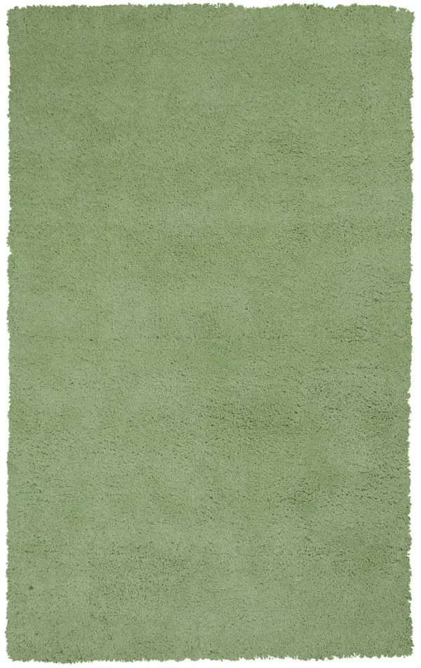 2' x 4' Indoor Shag Rug - Spearmint Green