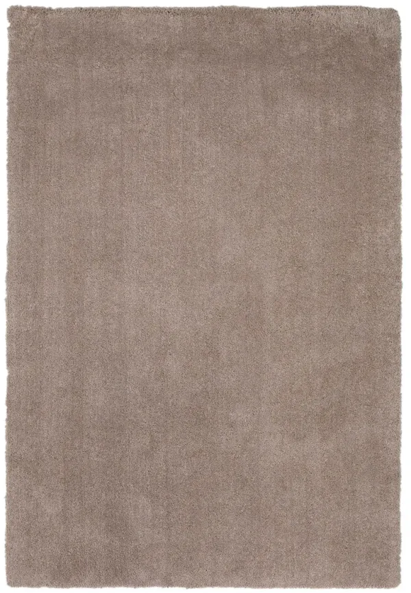 3' x 5' Heather Indoor Shag Rug - Beige