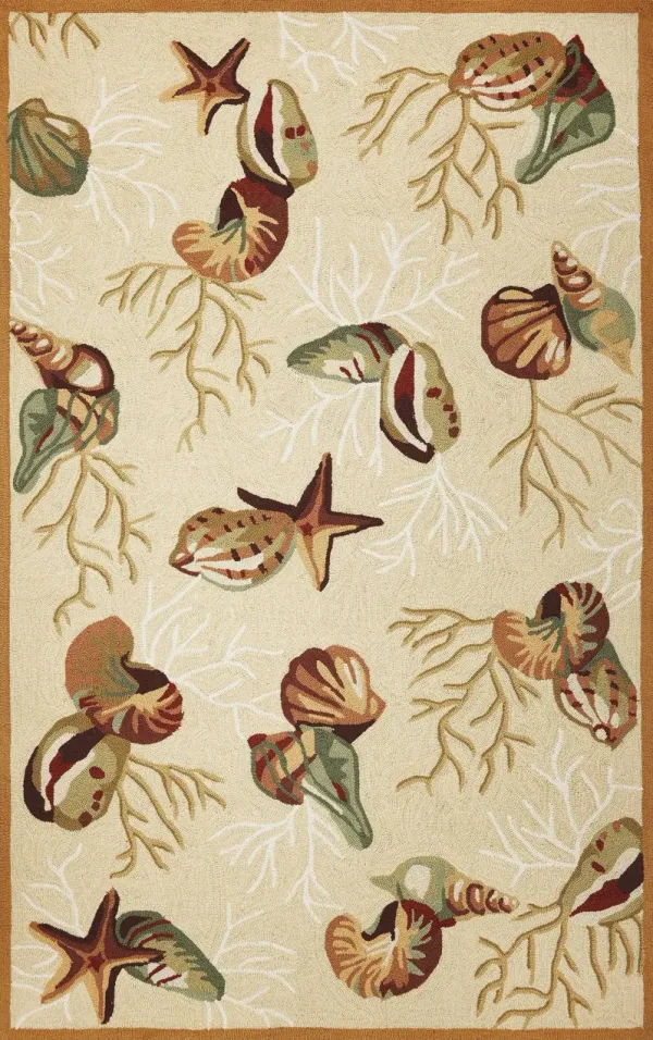 3' x 5' Area Rug - Beige Corals And Shells