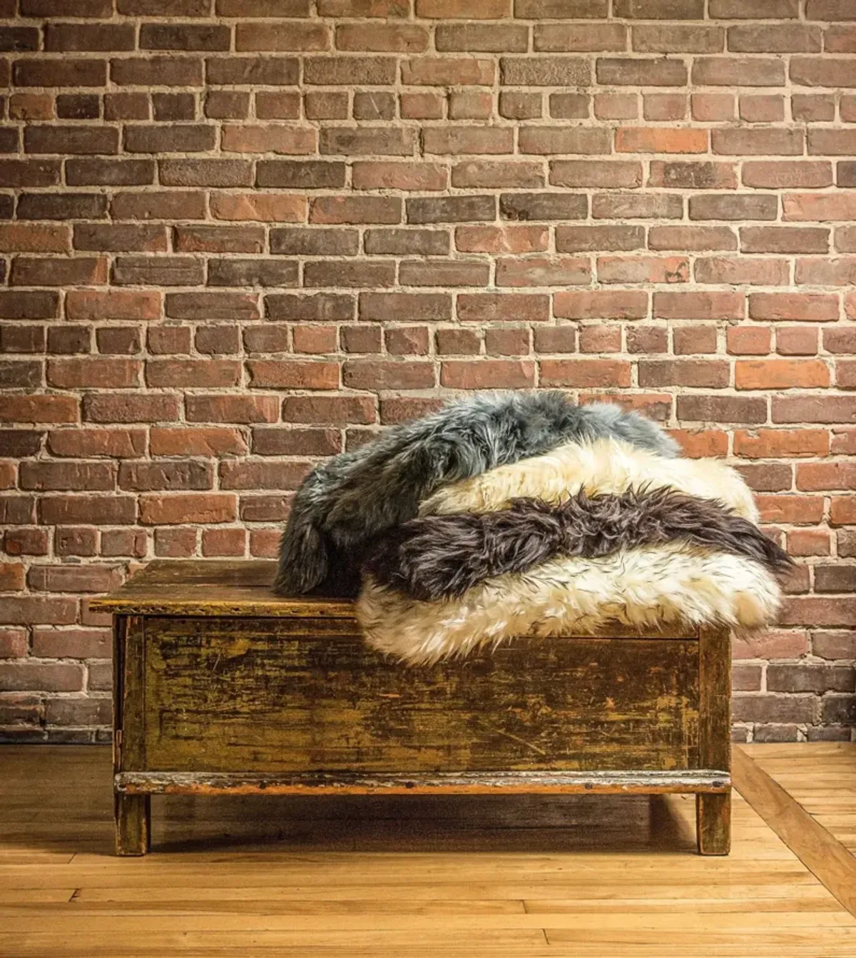 2' x 3' New Zealand Natural Sheepskin Rug - Chocolate