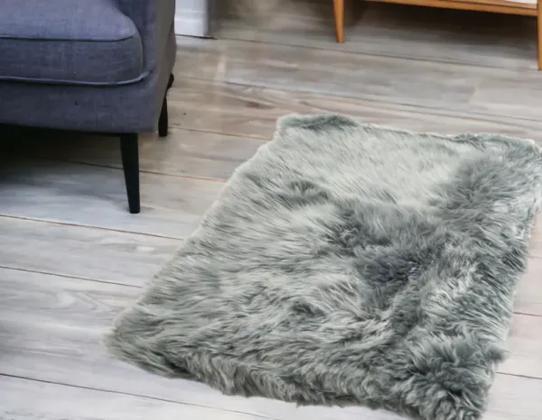 2' x 3' Area Rug - Gray