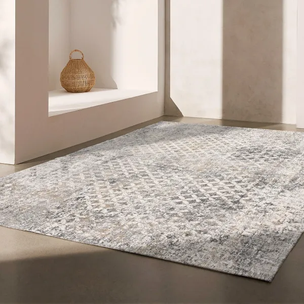 4' x 6' Distressed Area Rug - Gray And Ivory