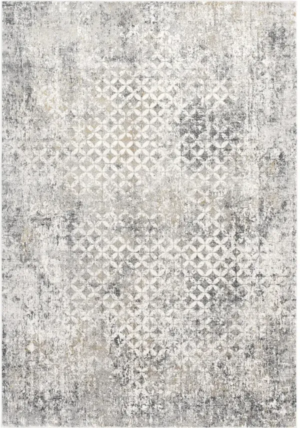 7' x 10' Distressed Area Rug - Gray And Ivory