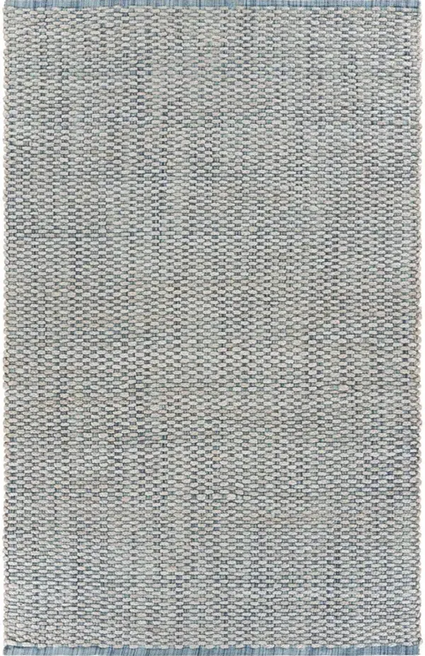 8' x 10' Toned Area Rug - Blue And Beige