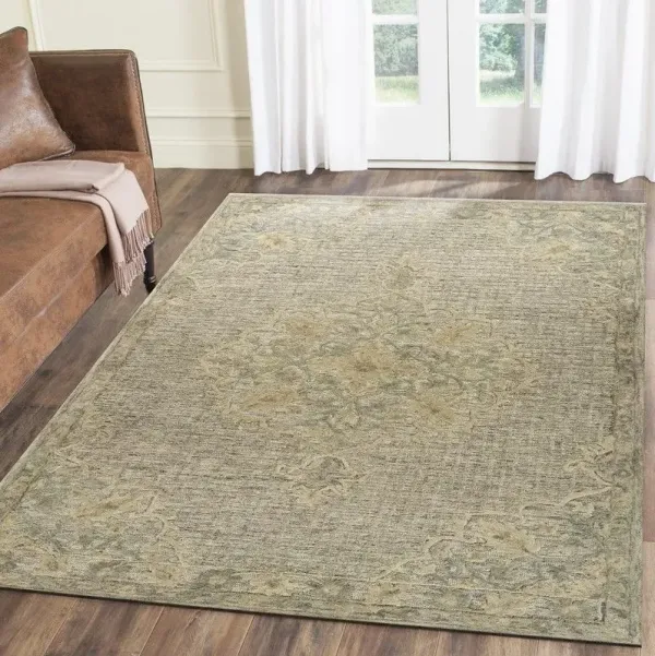 9' x 12' Distressed Floral Area Rug - Beige