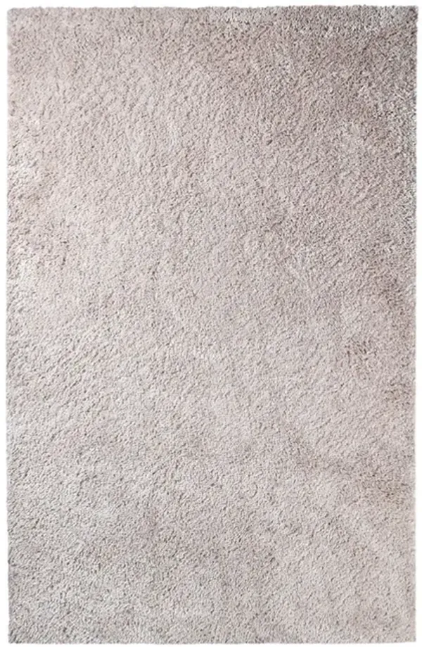 4' x 6' Shag Stain Resistant Area Rug - Beige