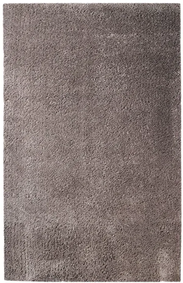 4' x 6' Shag Stain Resistant Area Rug - Taupe