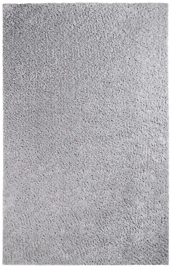 4' x 6' Shag Stain Resistant Area Rug - Silver