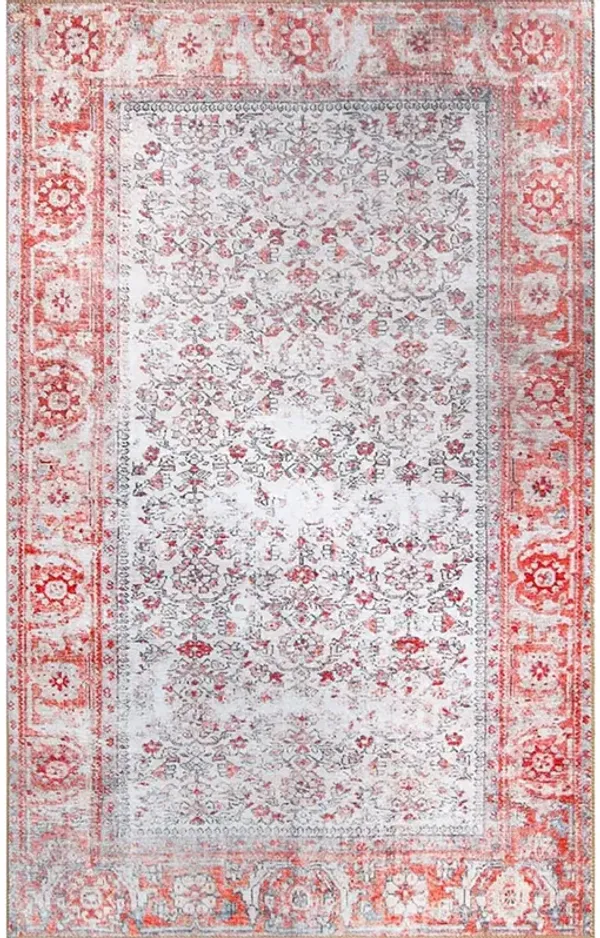 6' x 9' Oriental Power Loom Stain Resistant Area Rug - Berry Red