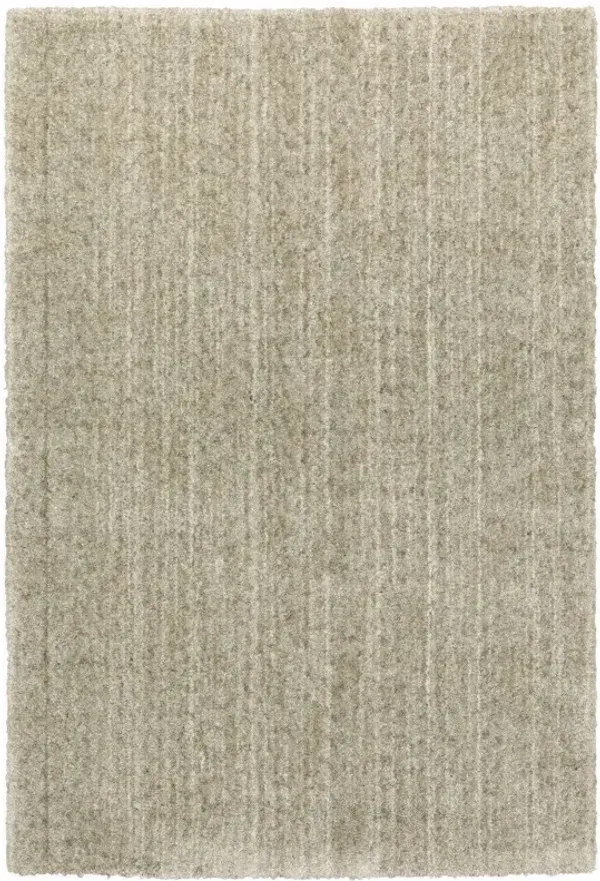 5' x 8' Shag Power Loom Stain Resistant Area Rug - Stone