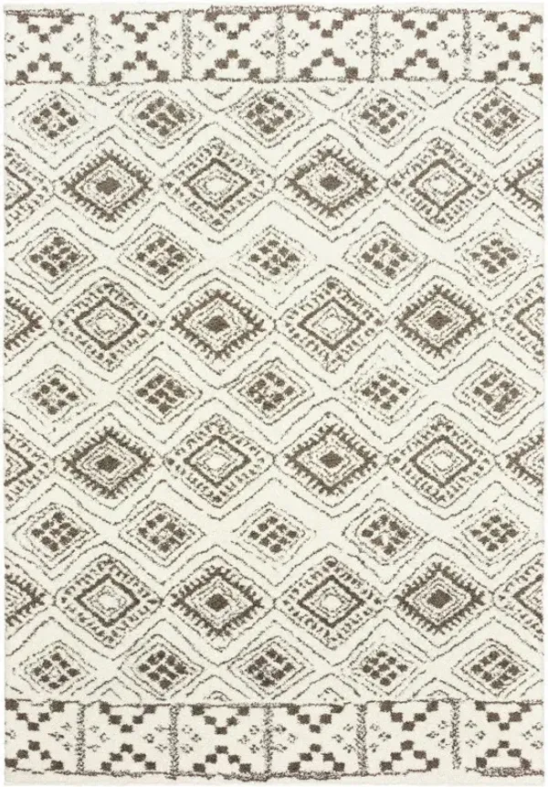 10' x 13' Geometric Shag Power Loom Stain Resistant Area Rug - Ivory And Brown