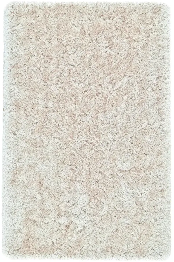 5' x 8' Shag Tufted Handmade Stain Resistant Area Rug - Tan And Taupe
