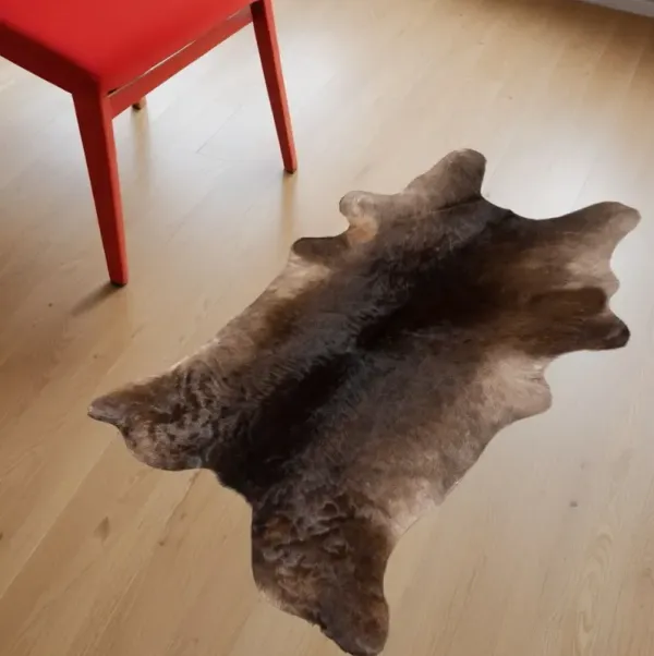 2' x 3' Hand Tufted Area Rug - Brown Cowhide