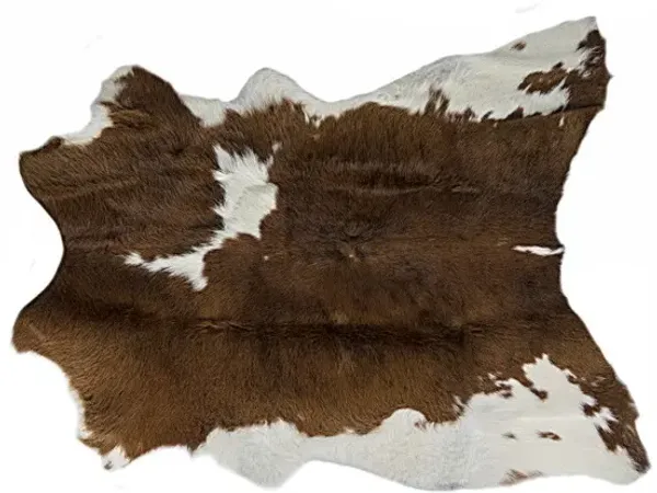2' x 3' Cowhide Hand Tufted Area Rug - Brown And White