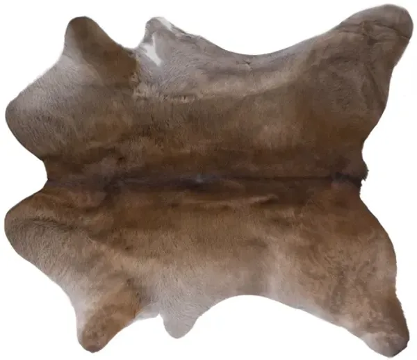 2' x 3' Genuine Cowhide Hand Knotted Area Rug - Taupe