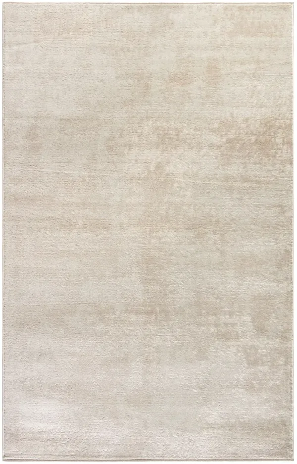 4' x 6' Abstract Area Rug - Cream