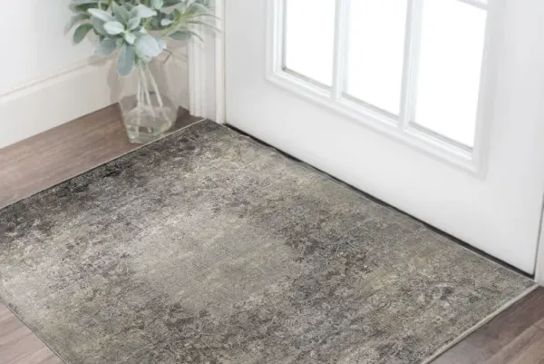 2' x 3' Oriental Power Loom Worn Faded Area Rug - Tan And Gray