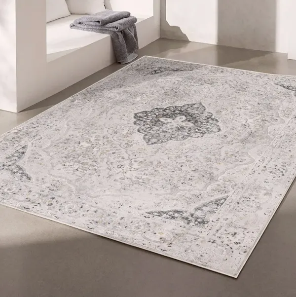 5' x 8' Distressed Decorative Area Rug - Gray