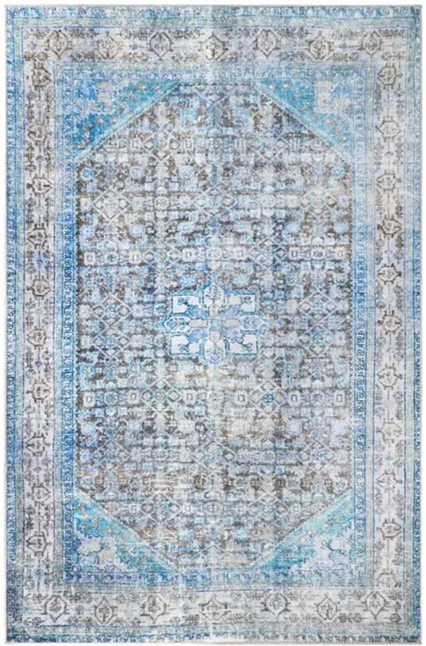 5' x 7' Oriental Medallion Stain Resistant Area Rug - Shades Of Azure