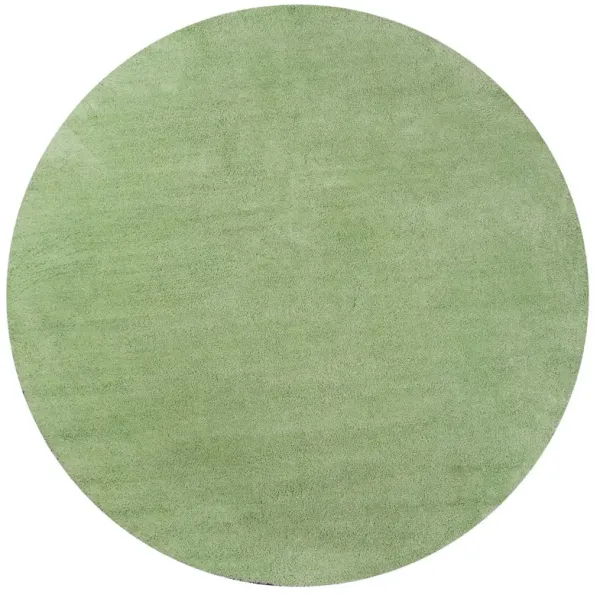 6' Round Plain Indoor Area Rug - Spearmint Green