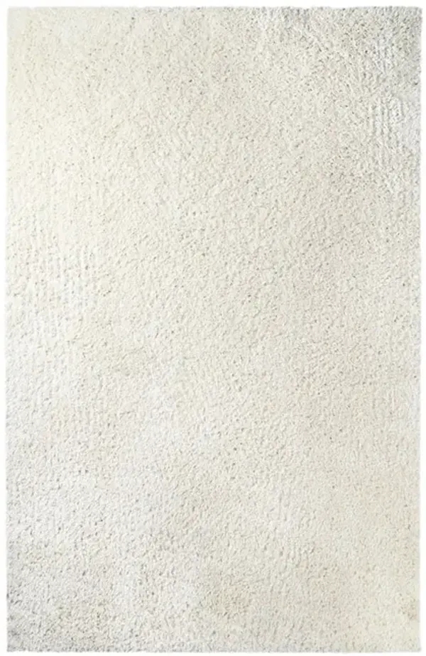 5' x 8' Shag Stain Resistant Area Rug - Ivory