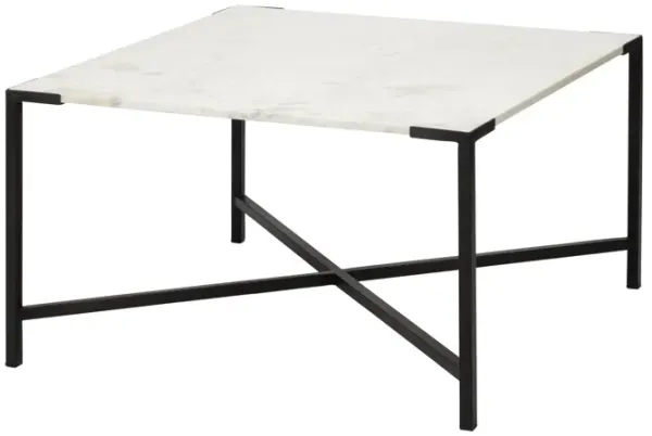 Solid And Manufactured Wood And Metal Square Coffee Table - White And Black