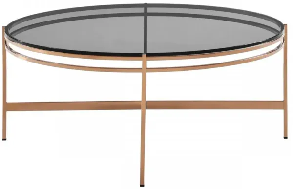 Smoked Glass Round Coffee Table - Gold And Dark Gray