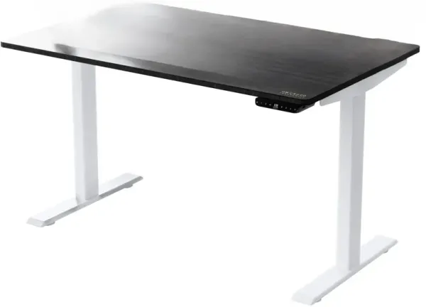 Adjustable Stainless Steel Computer Desk - Black And White