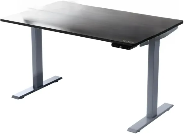 Dual Motor Electric Office Adjustable Standing Desk - Premier Gray