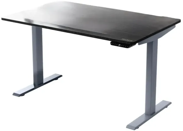 Adjustable Standing Desk - Black And Gray