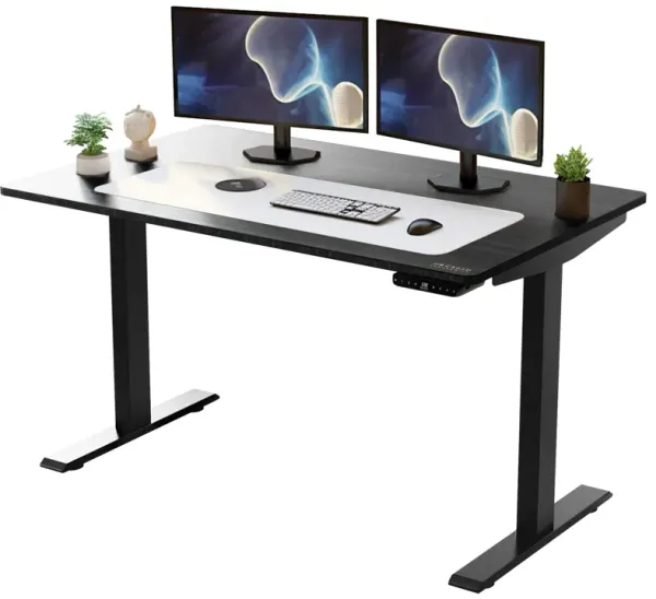 45" Bamboo Dual Motor Electric Office Adjustable Computer Desk - Black On Black