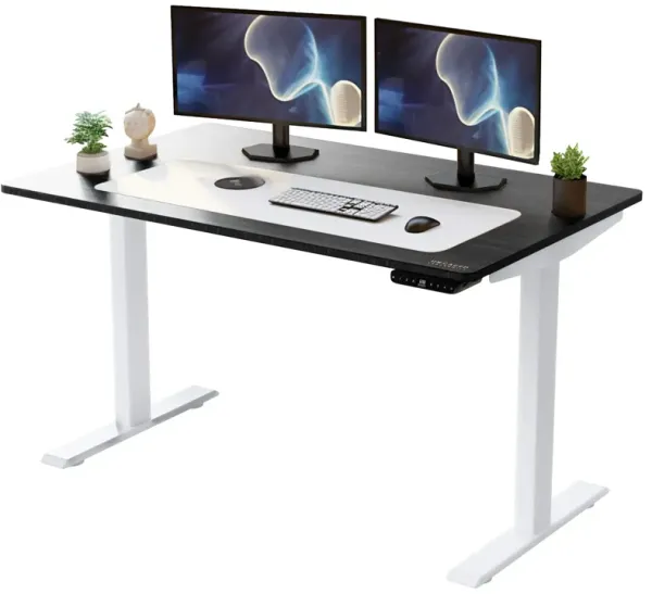 Bamboo Dual Motor Electric Office Adjustable Computer Desk - White And Black