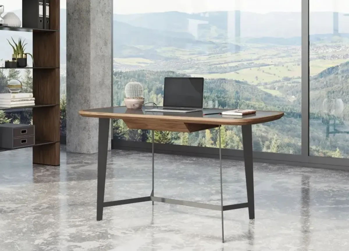 Glass Rectangular Writing Desk - Walnut And Black