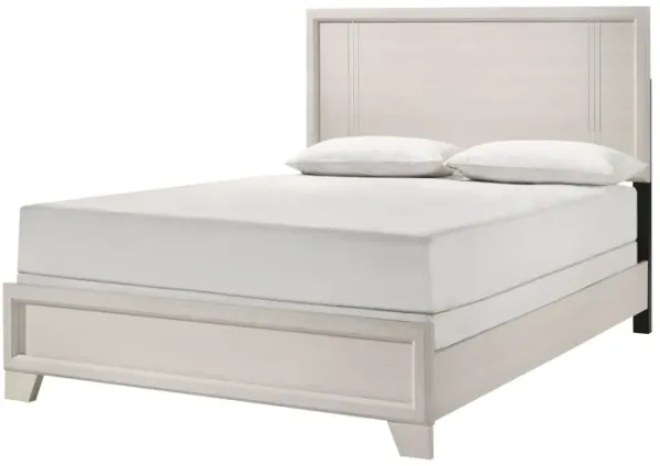 Charlie - Bed
