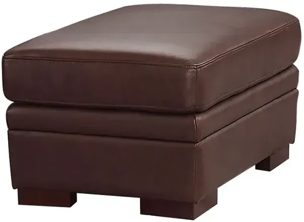 Dillon - Leather Ottoman