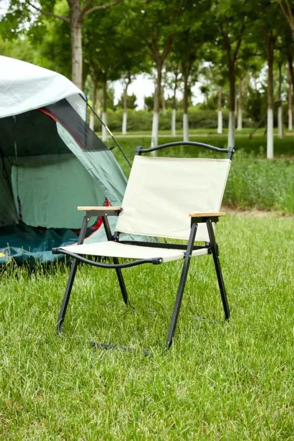 Folding Outdoor Chair For Indoor, Outdoor Camping, Picnics, Beach, Backyard, Bbq, Party, Patio