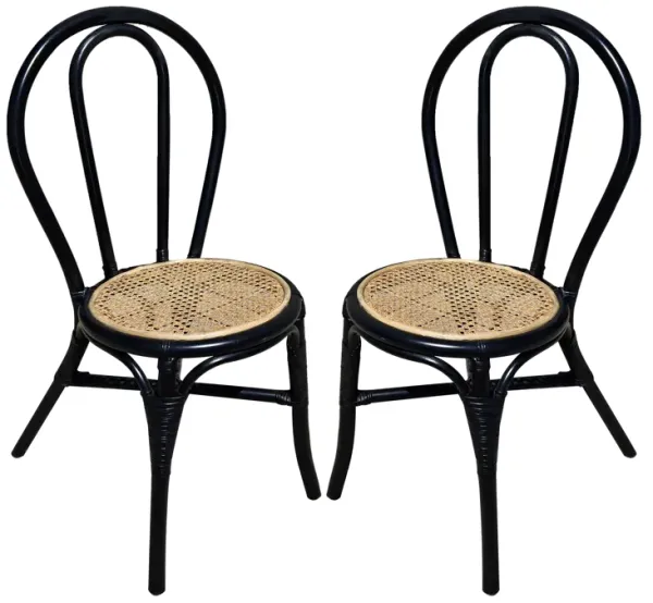 Rattan Dining Chair (Set of 2) - Black Multi