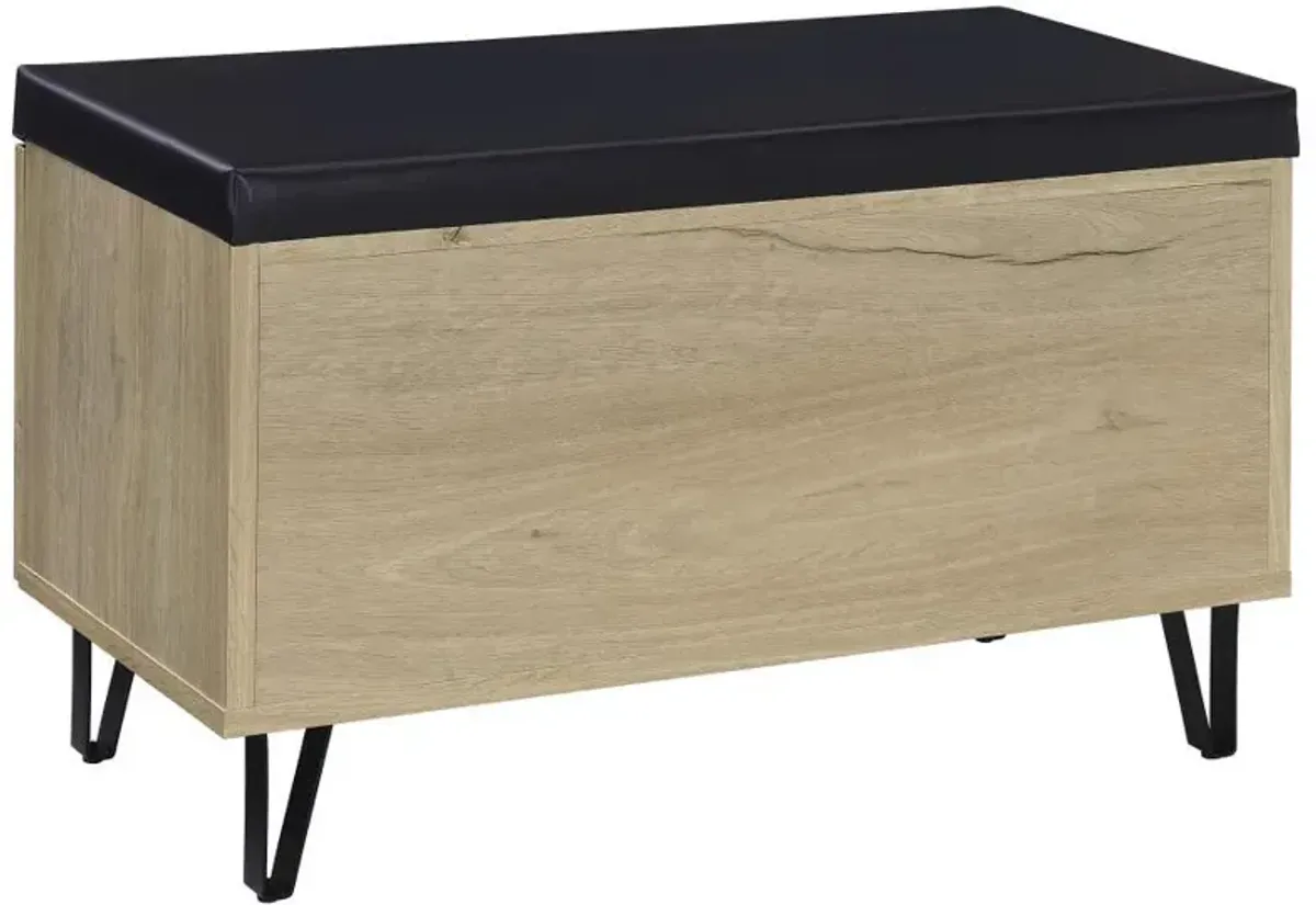 Brixton - 2-Door Padded Entryway Shoe Storage Bench