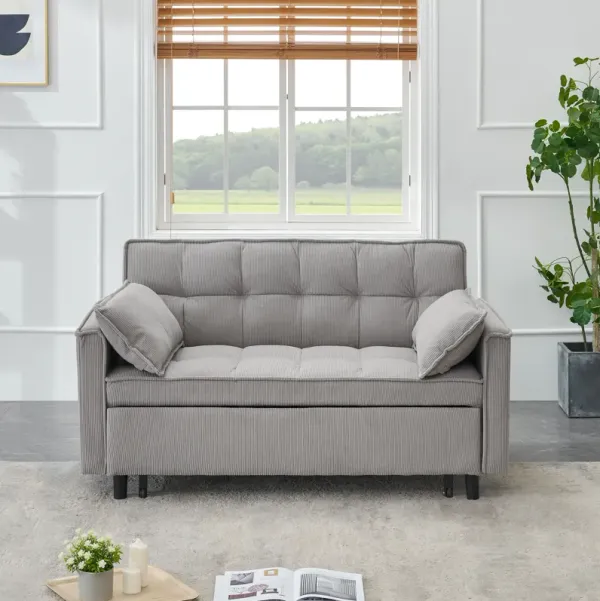 Two-Seat Casual Sofa With Pull Out Bed, Living Room Furniture