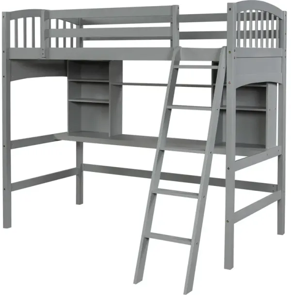 Loft Bed With Storage Shelves, Desk And Ladder