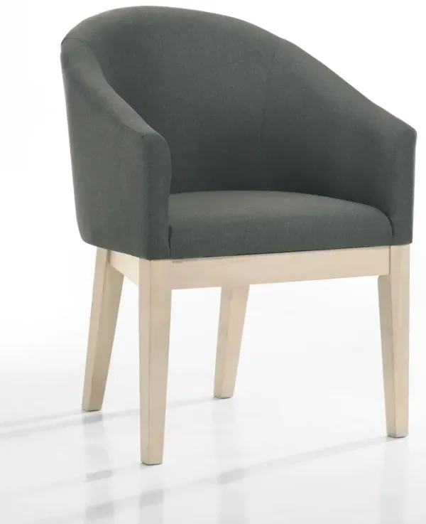 Neroli - Fabric Barrel Accent Chair (Set of 2) - Gray