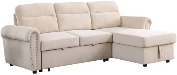 Ashton - Reversible Sleeper Sectional Sofa Chaise