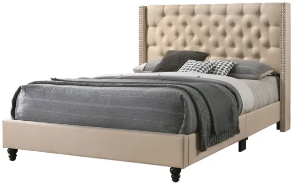 Nailhead Bed Transitional Vibrant
