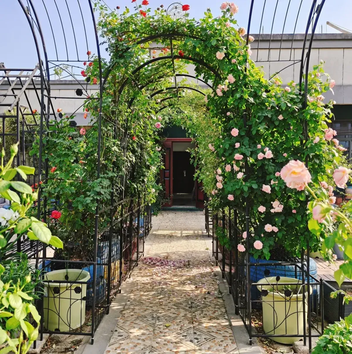 Metal Garden Arch With Two Plant Stands Wide High Climbing Plants Support Rose Arch Outdoor - Black