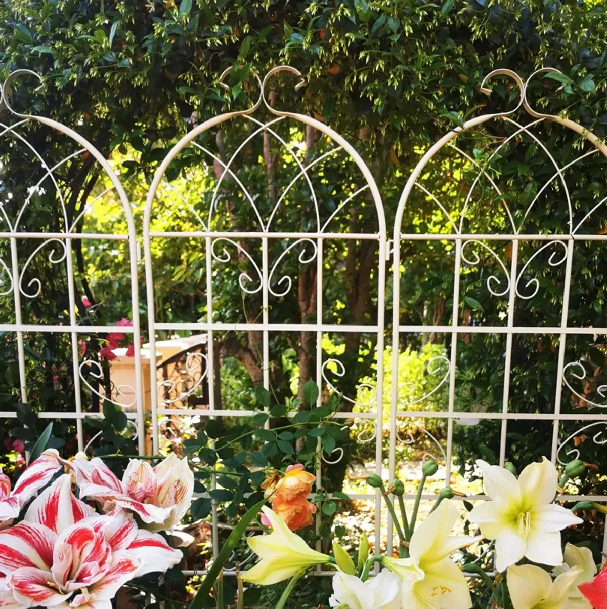 Metal Garden Rustproof Trellis For Climbing Plants Outdoor Flower Support