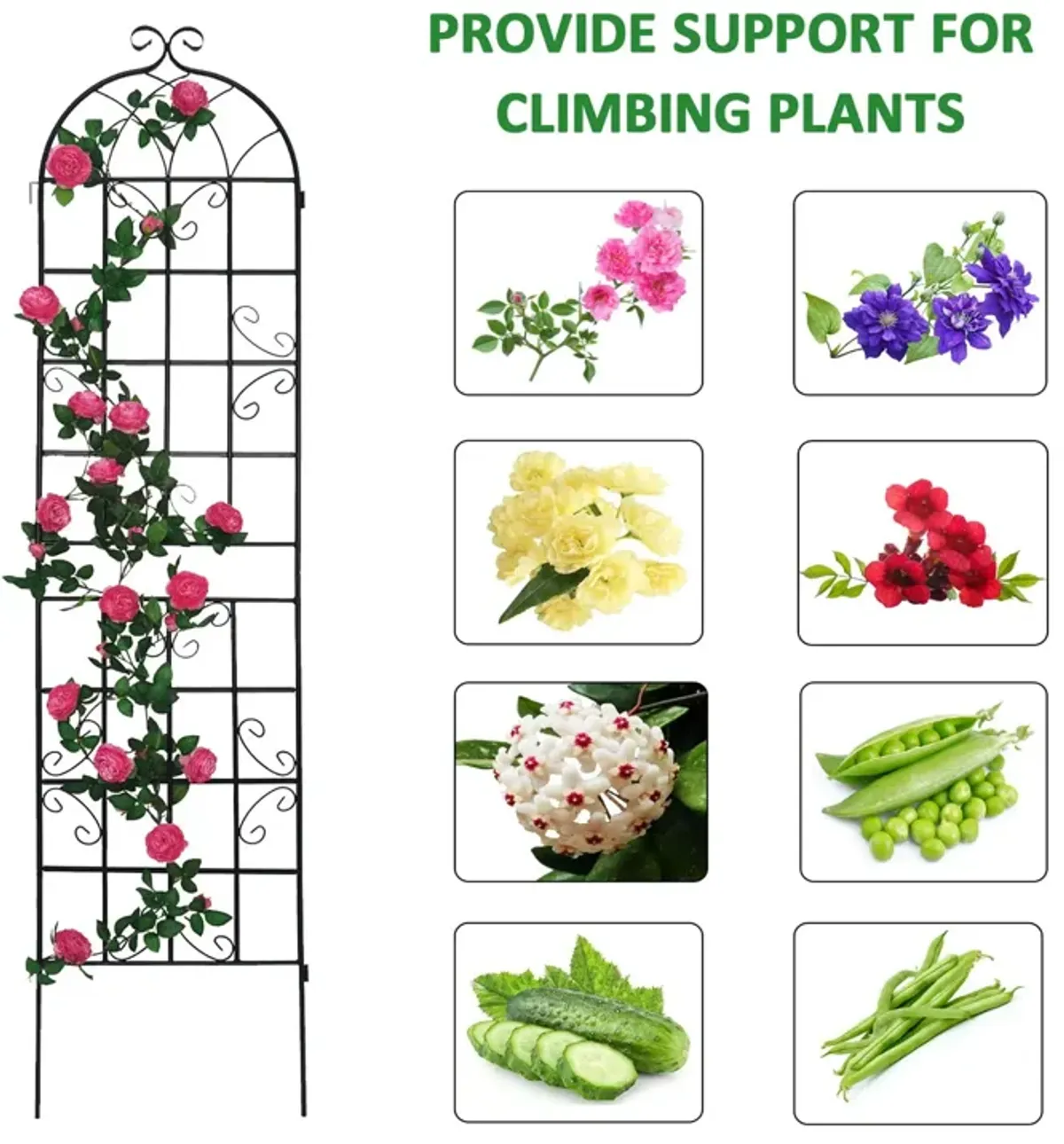 Metal Garden Rustproof Trellis For Climbing Plants Outdoor Flower Support