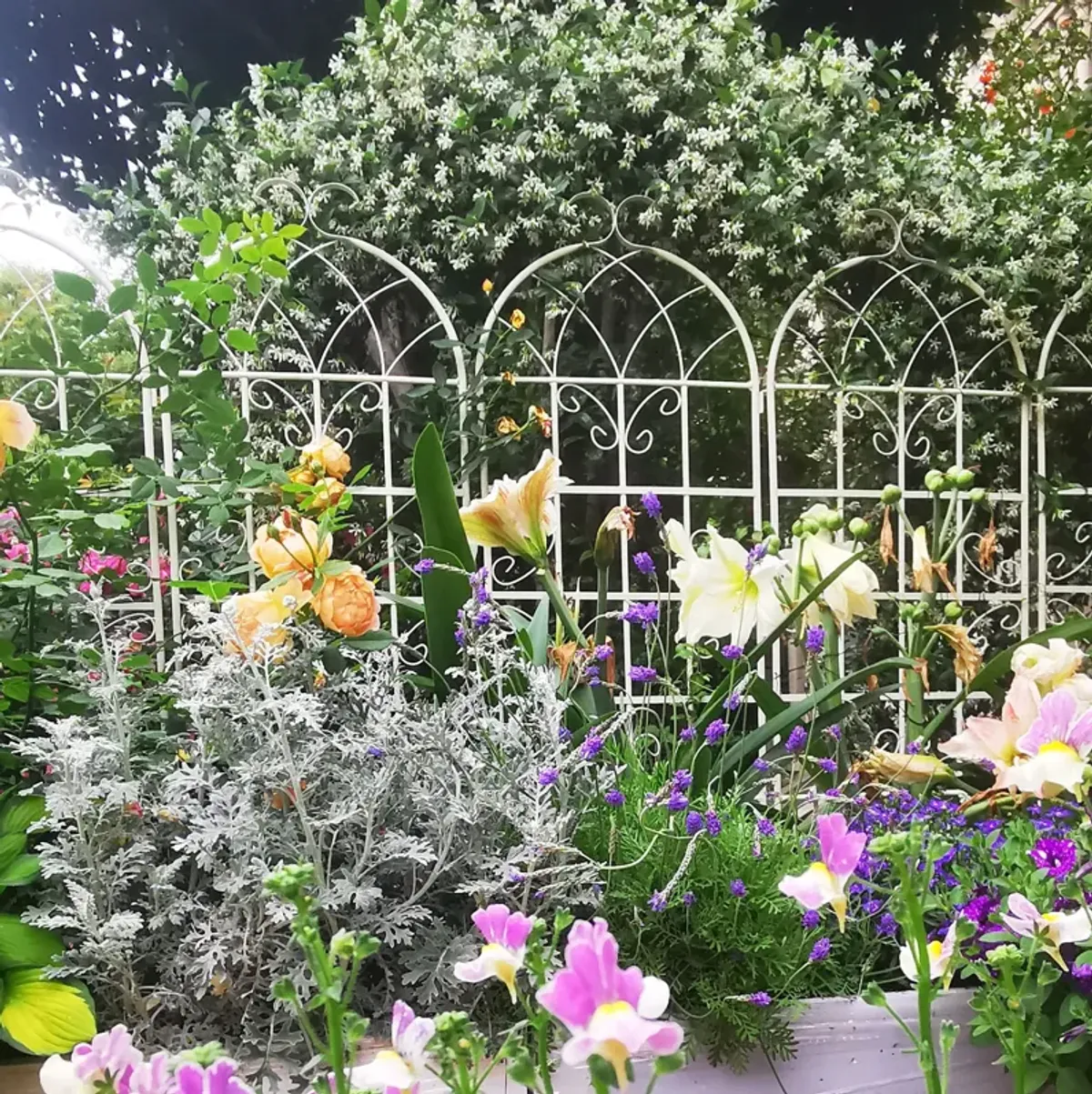 Metal Garden Rustproof Trellis For Climbing Plants Outdoor Flower Support